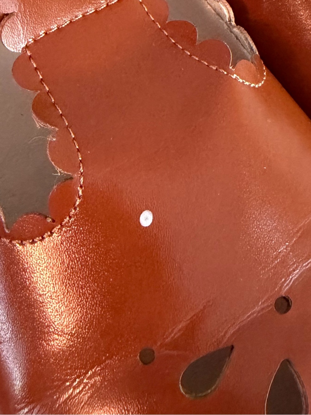 Felix & Flora Classic Brown Mary Jane Shoes with Buckle - Picture 3 of 5